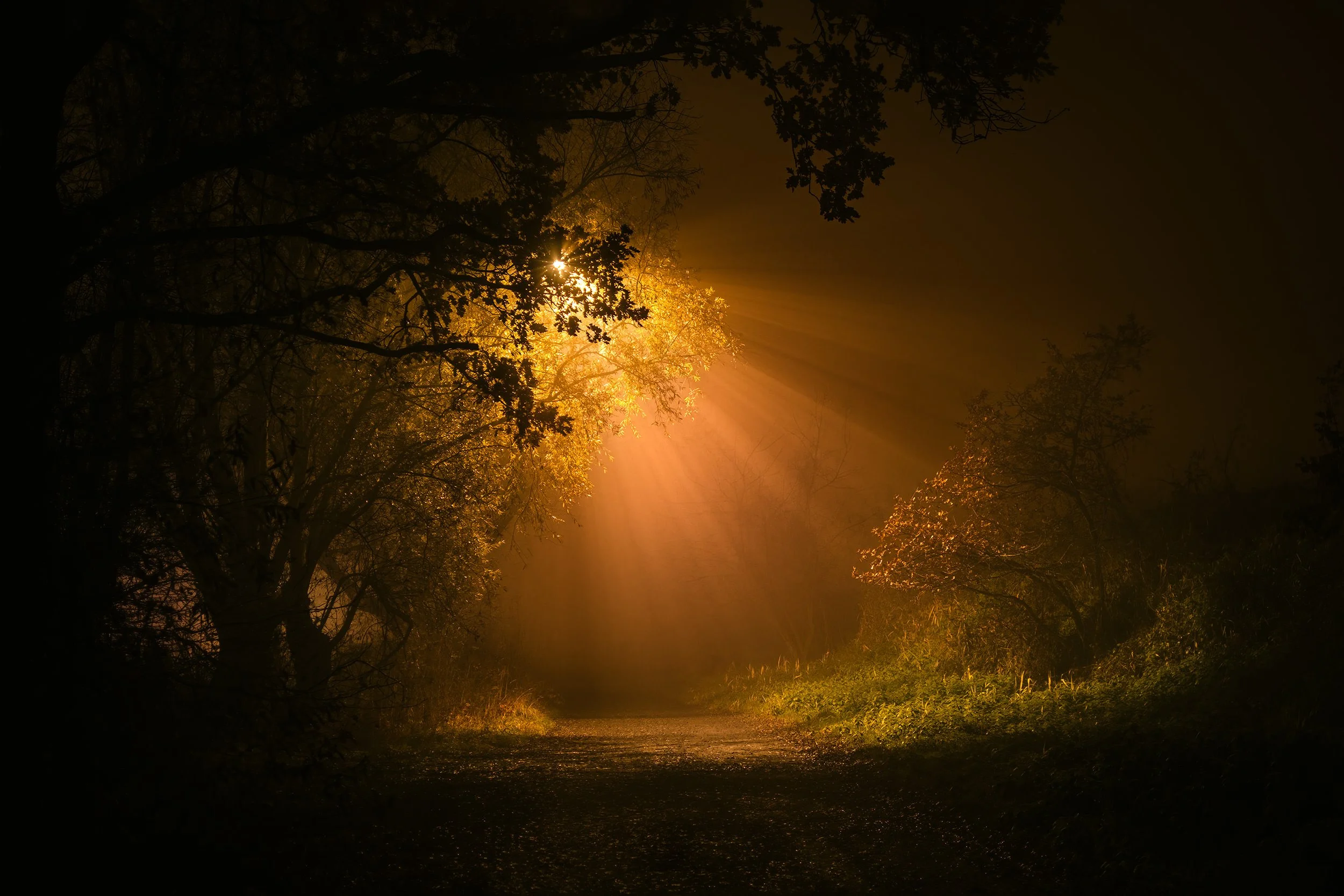 Invisible Guides — dark landscape by Pierre Putman